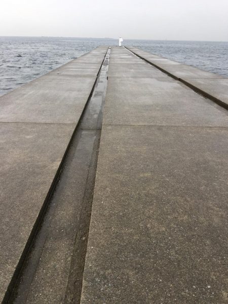 ショアジギング&釣り場の掃除