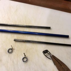 サゴシライズ♫