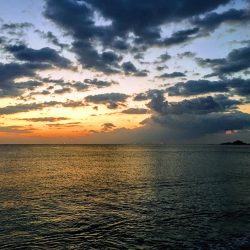 大里松原海岸 アオリイカ