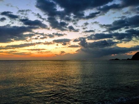 大里松原海岸 アオリイカ