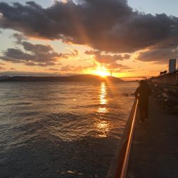 久しぶりの夕方釣行