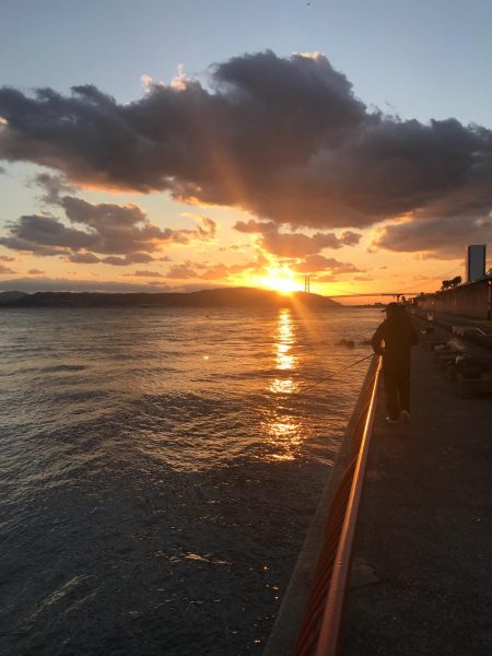 久しぶりの夕方釣行