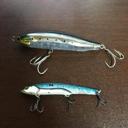 朝まづめショアジギング