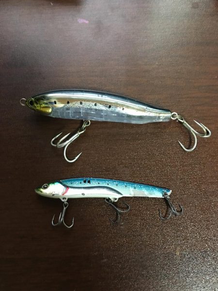 朝まづめショアジギング