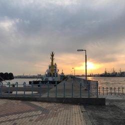 またサゴシだけ＿ﾉ乙(､ﾝ､)_