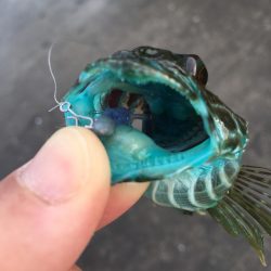 マイクロデイゲーム