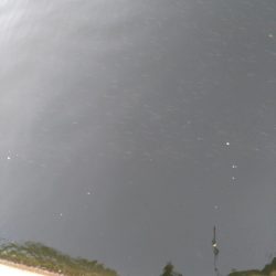 シーバスマルチも手乗りサイズ