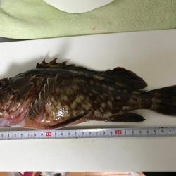 爆風ライトゲーム