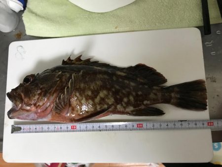 爆風ライトゲーム