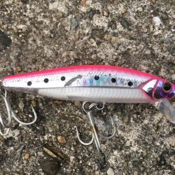 ハマチをショアジギングで釣りたくて