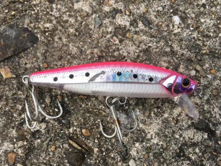 ハマチをショアジギングで釣りたくて