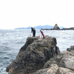 鵜来島 磯フカセ！