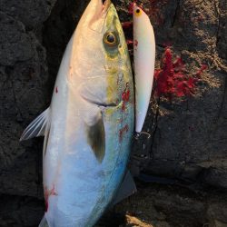 御五神島 フカセ&ルアー