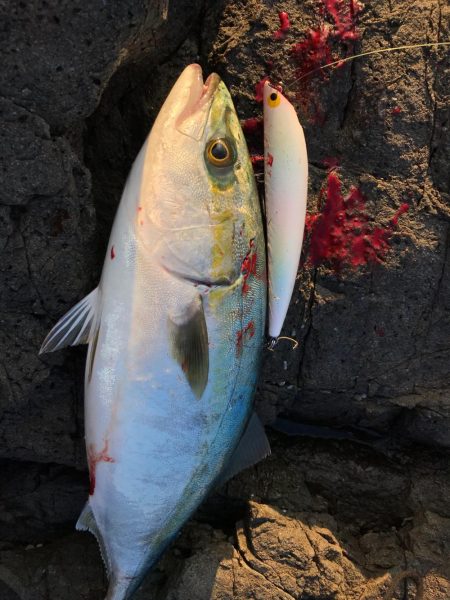 御五神島 フカセ&ルアー