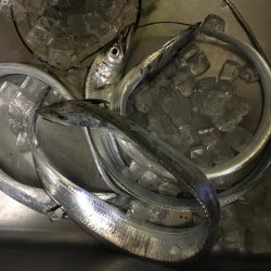 アタリが少ない