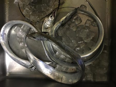 アタリが少ない