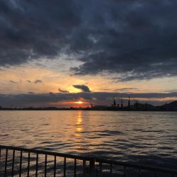 パラダイス♫でもサゴシ