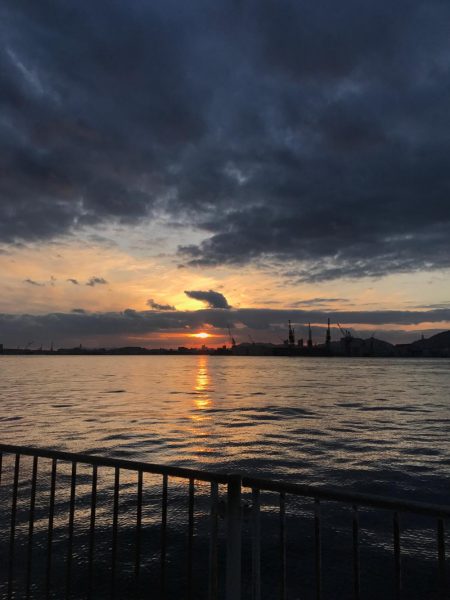 パラダイス♫でもサゴシ