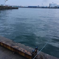 朝マズメ2時間勝負