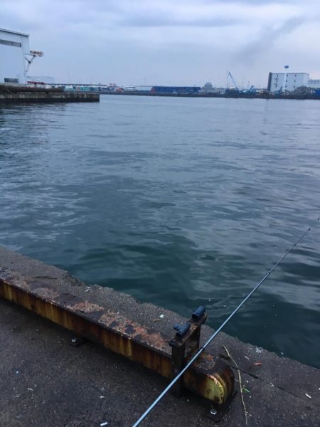 朝マズメ2時間勝負