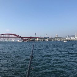 桃源郷は爆風の向こう側