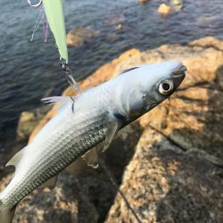 遅刻で釣り場変更