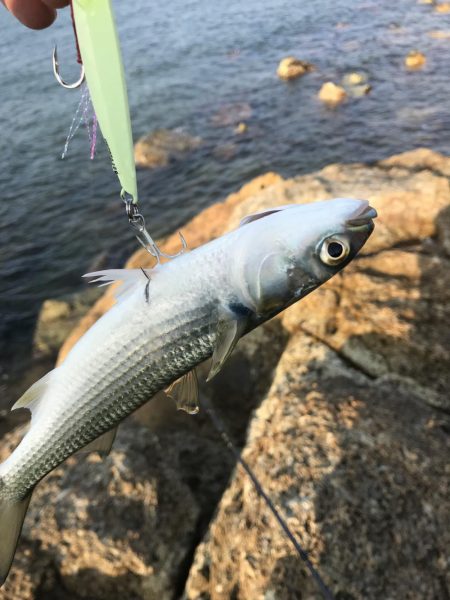 遅刻で釣り場変更