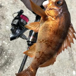 ンメェヴァルィング！