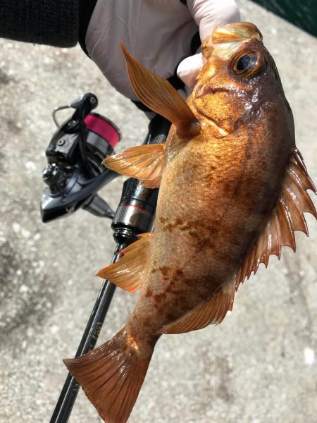 ンメェヴァルィング！