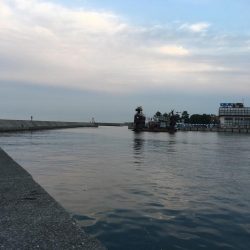 爆釣丸ハゲの快