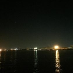 タチウオ＆アジ