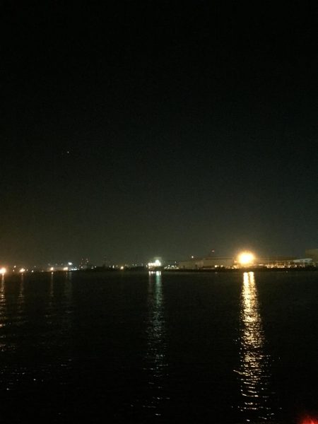 タチウオ＆アジ