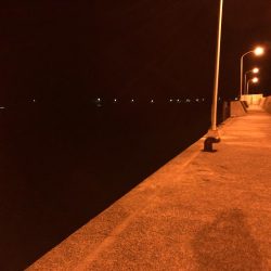 佐田岬遠征1日目