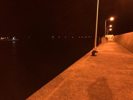 佐田岬遠征1日目