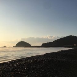 大里松原海岸 小イカ スマ