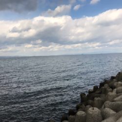 ルアーでヒラメ