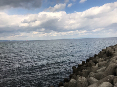 ルアーでヒラメ