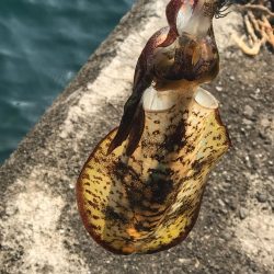 強風回避コースでランガン