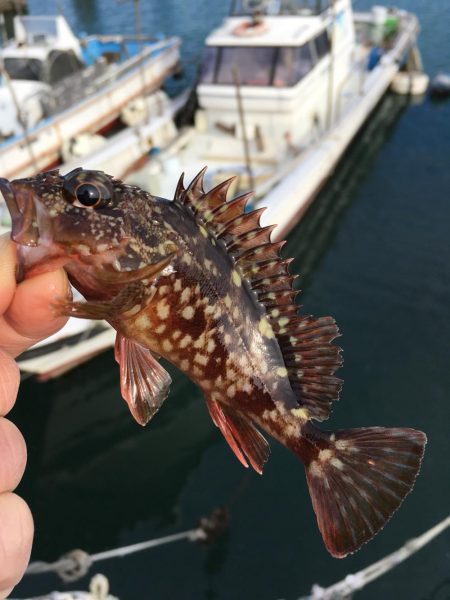 マイクロデイゲー