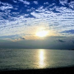 大里松原海岸 アオリイカ2 メジカ1