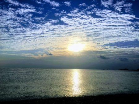 大里松原海岸 アオリイカ2 メジカ1