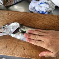 初のオフショア