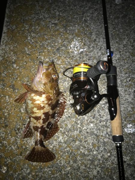 アジングからの