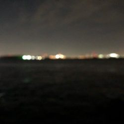 タッチーチャレンジ(^^)