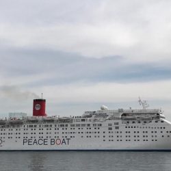 ハマチクランク?