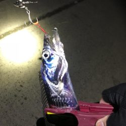 やったりましたドラゴン3匹!