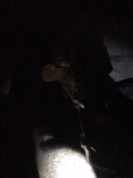 落ちギス釣行(´ω｀)