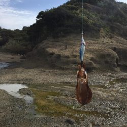 エギングトリップ