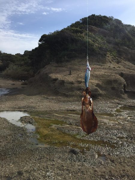 エギングトリップ