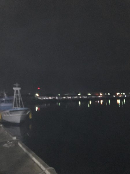 楽しいアジング！